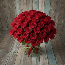 Букет 55 Красных роз Фридом #REPLACE_PRED# Ольявидово