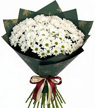 Букет цветов из:  Хризантемы в Ольявидово