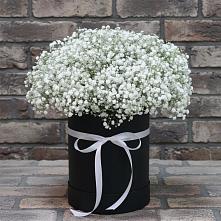 Цветочная композиция из Гипсофила в шляпной коробке в Ольявидово