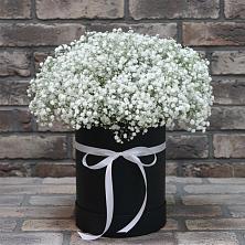 Цветочная композиция из Гипсофила в шляпной коробке в Ольявидово