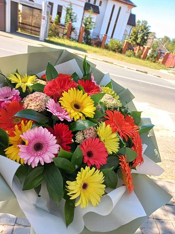 Букет цветов из: Герберы в Ольявидово