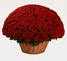 Премиум букет из: Розы #REPLACE_PRED# Ольявидово