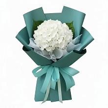 Букет цветов из:  Гортензия в Ольявидово